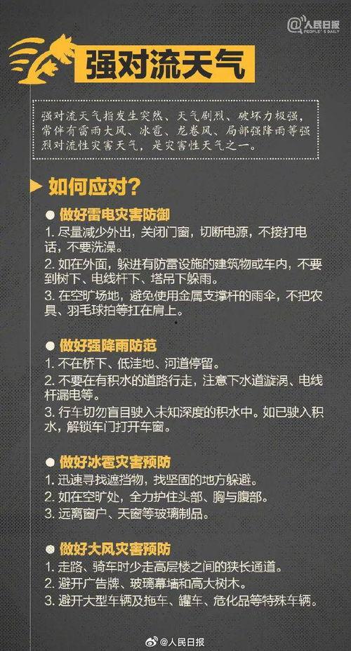 云南爆料最新消息新闻,揭秘神秘事件背后的真相